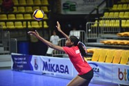 Herdie Castillo De Belice Al Servicio