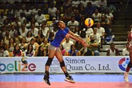 Gareth Bruce De Belice Recibe