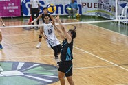 Duarte Fonseca Coloca Hon