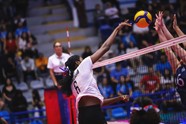 Herdie Castillo Biz (1)