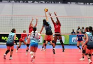 Virginia Herdocia De Honduras Atacando