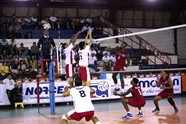 8498639_orig