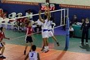8979768_orig