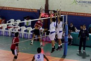 8677299_orig