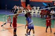8352310_orig