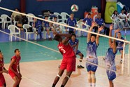 3952406_orig