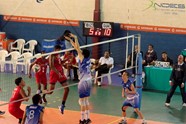 3332965_orig