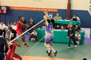 3672391_orig