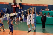 6557664_orig