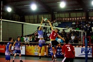 7202933_orig