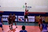 8828536_orig
