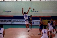 6918519_orig