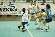 4828411_orig