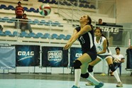 7353357_orig
