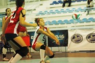 2684445_orig