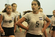 7198247_orig