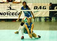 8591731_orig