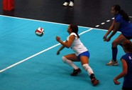 8859094_orig