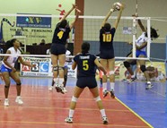 3907548_orig