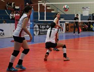 7829455_orig