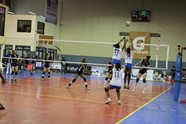 8653867_orig