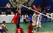 4430288_orig