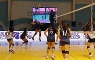 Tamara Espinoza Crc