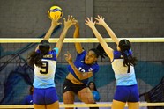 Jevia Leslie De Belice Ataca