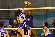 Norma Brenes De Nicaragua Remata