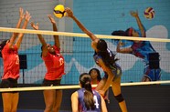 Nhya Barley De Costa Rica Remata2 (1)