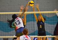 Nhya Barley De Costa Rica Remata3