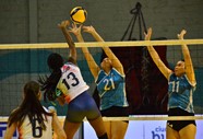 Nhya Barley De Costa Rica Remata2 (3)